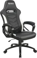 Photo de Fauteuil Azgenon Z100 (Noir/Blanc)