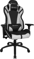 Photo de Fauteuil Azgenon Z300 (Noir/Blanc)