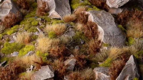 Photo de Gamers Grass -  Spikey Brown