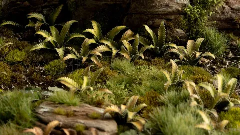 Photo de Gamers Grass - Laser Plants : Deer Fern