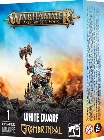 Photo de Warhammer Grombrindal : Le Nain Blanc